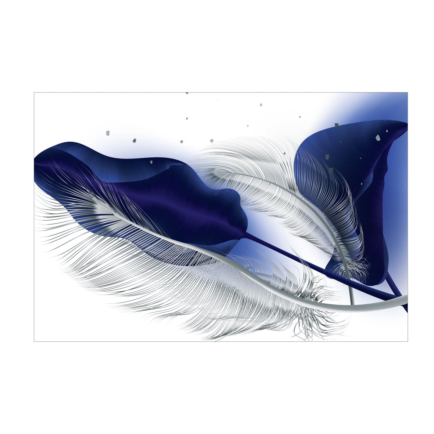 SULC-42 BLUE SILVER 24X36 TG