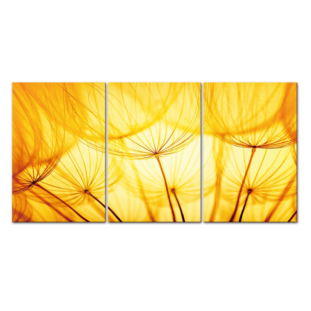 JD-C815 ABC Yellow Dandelion Acrylic Picture