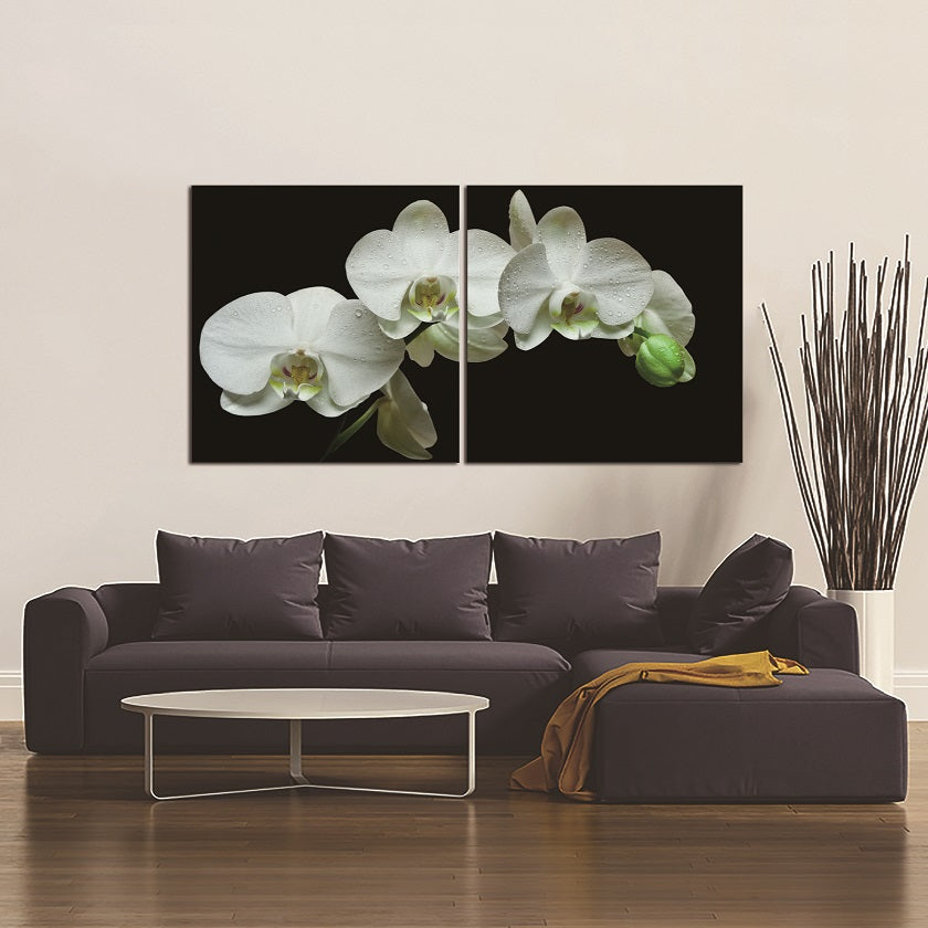 JDN-7106-AB White Orchids Acrylic Print