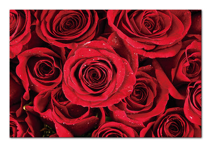 JD-B597 Red Roses Acrylic Picture